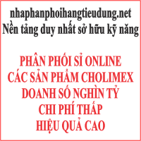 NHÀ PHÂN PHỐI CHOLIMEX